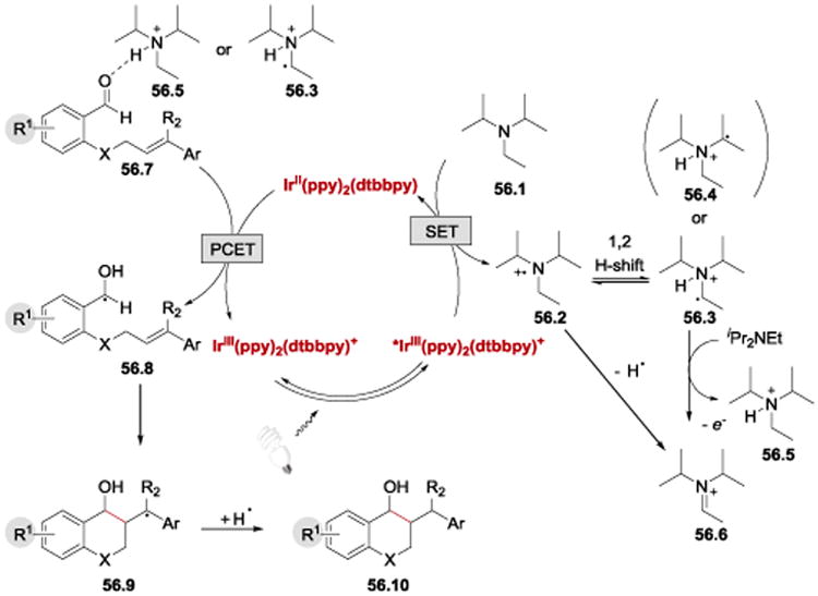 Scheme 56