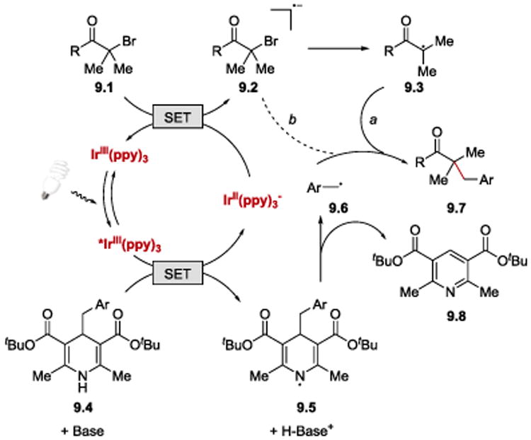 Scheme 9