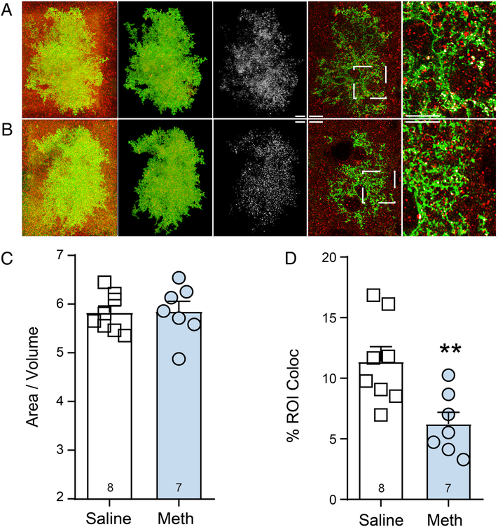 Figure 3: