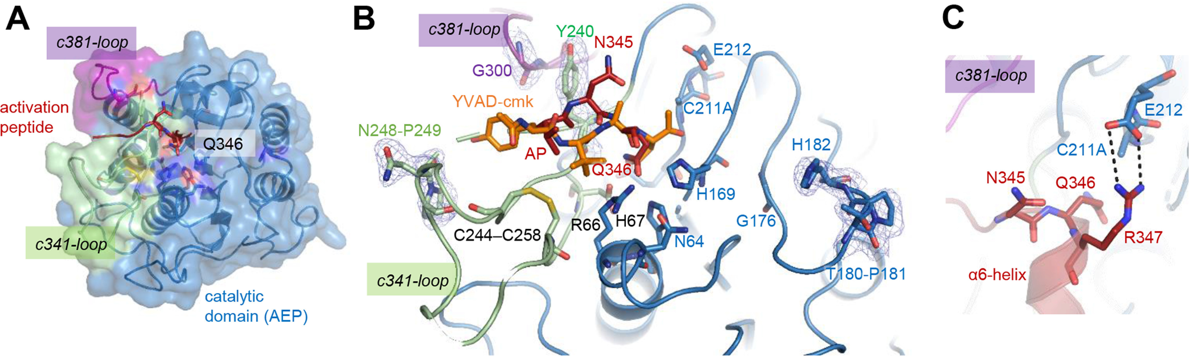 Figure 3.