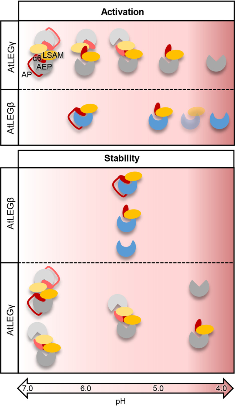 Figure 10.