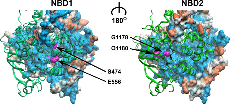 Fig 1