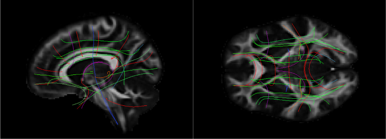 Fig. 7.