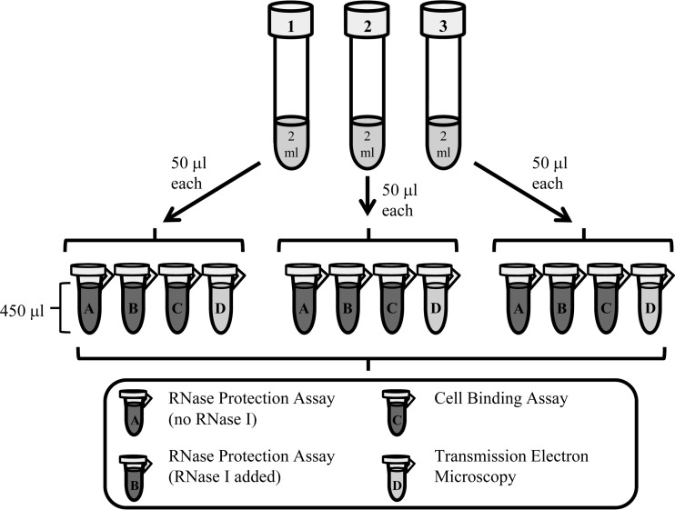 FIG 1