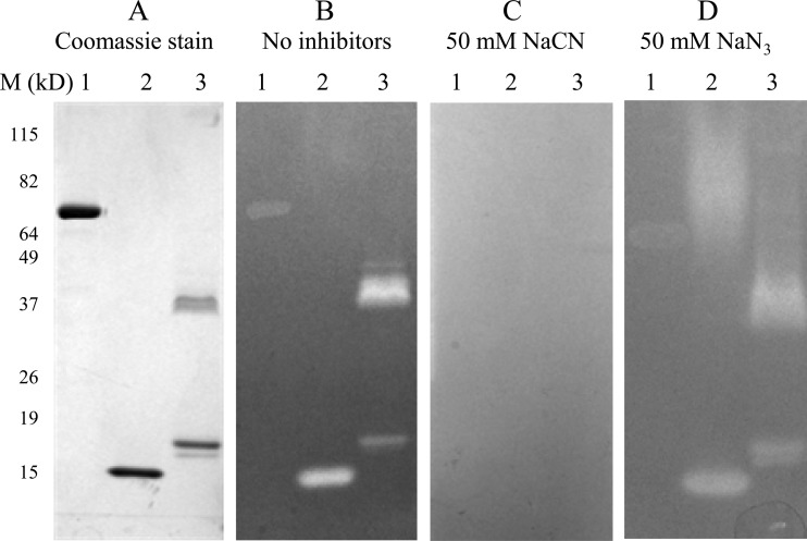 FIG 3