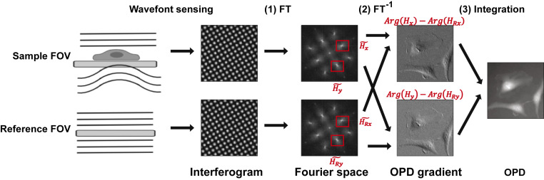 Fig. 1.