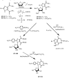 Scheme 5