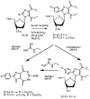Scheme 4