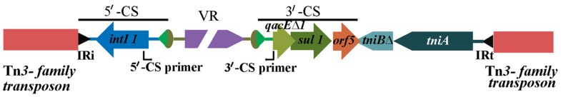 FIGURE 1