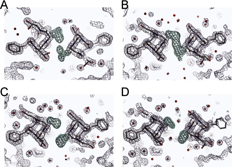 FIGURE 4.