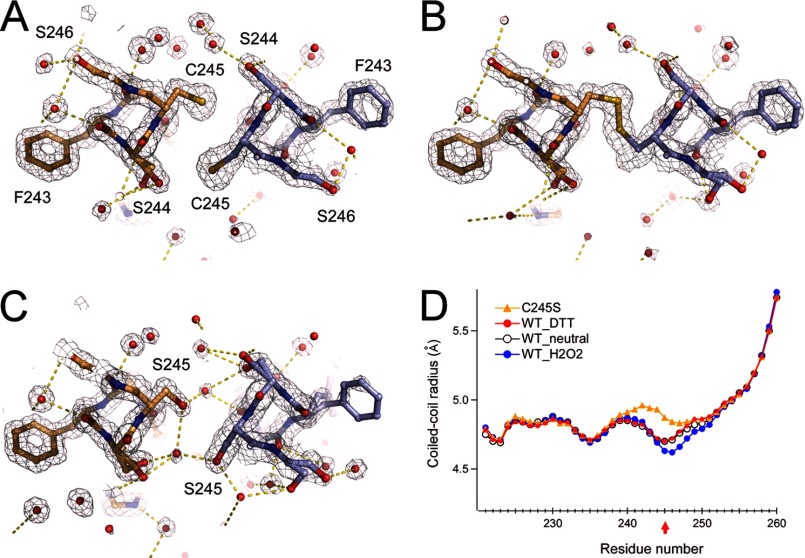 FIGURE 3.