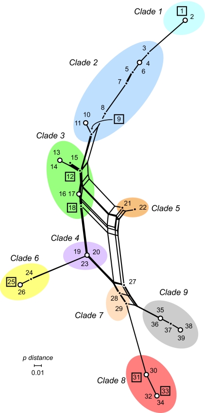 Fig. 2.