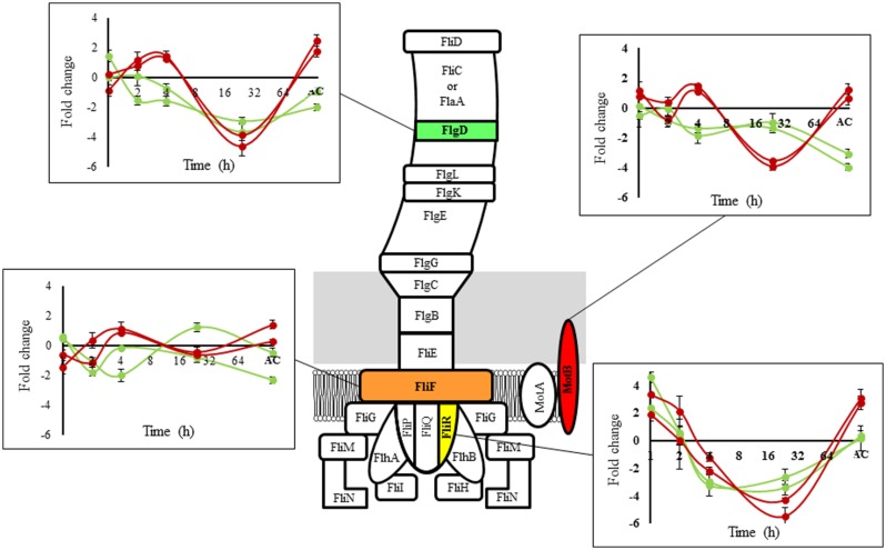 FIGURE 3