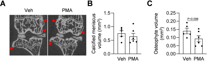 Figure 5—figure supplement 1.