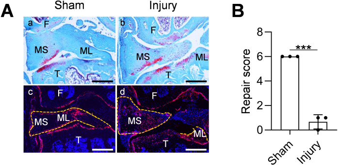 Figure 4—figure supplement 1.