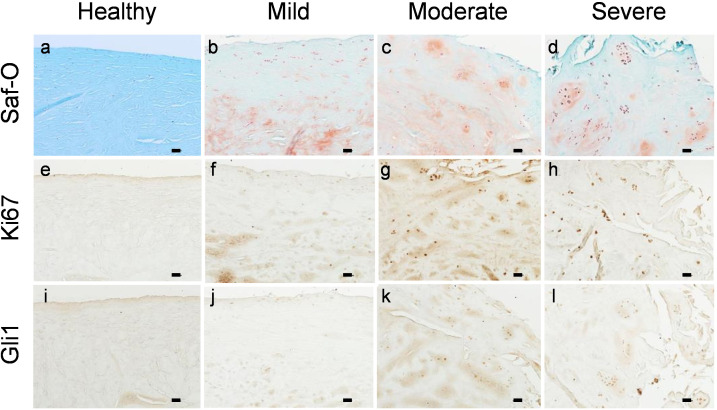 Figure 4—figure supplement 2.