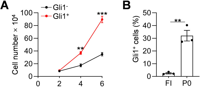 Figure 2—figure supplement 2.