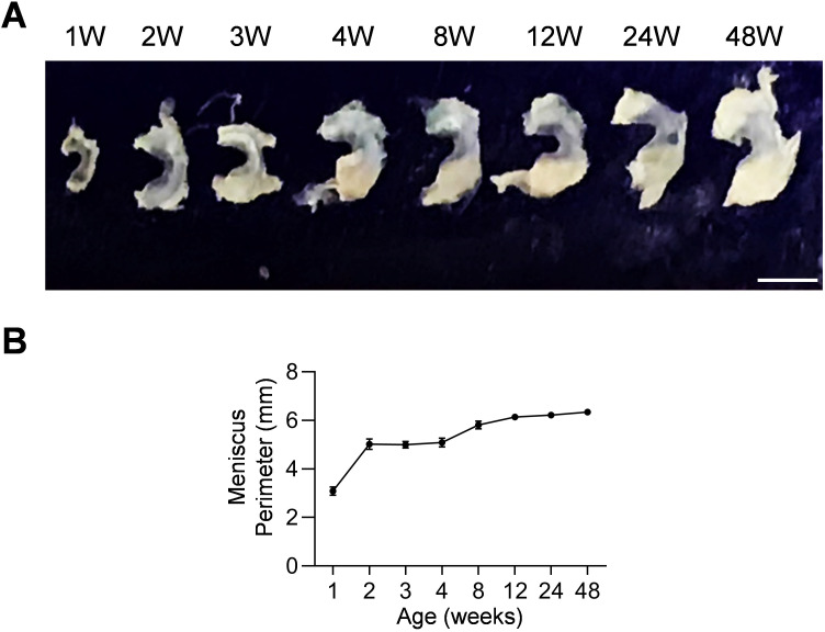 Figure 1—figure supplement 1.