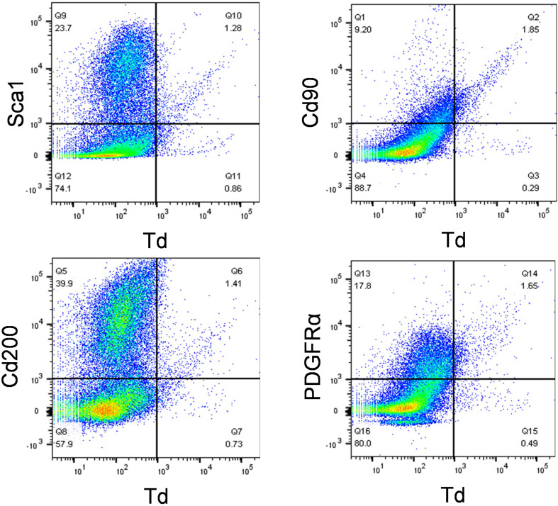 Figure 2—figure supplement 1.