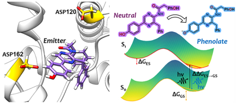 graphic file with name nihms-2010192-f0001.jpg