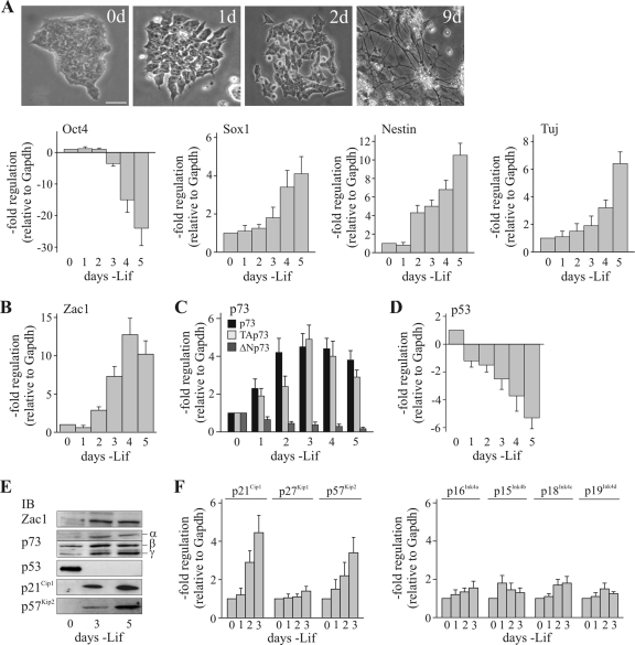 FIG. 8.