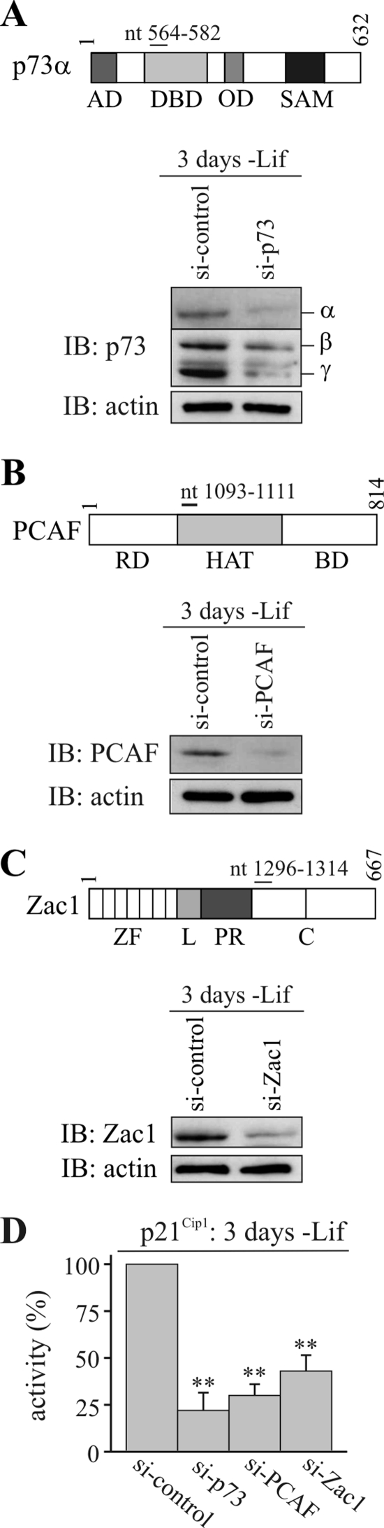 FIG. 10.