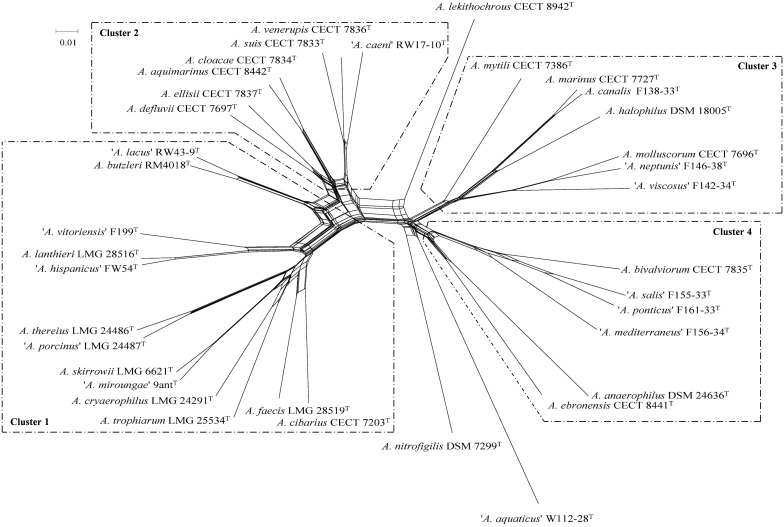 FIGURE 1