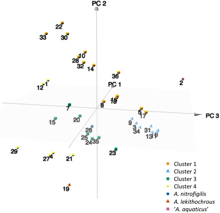 FIGURE 3