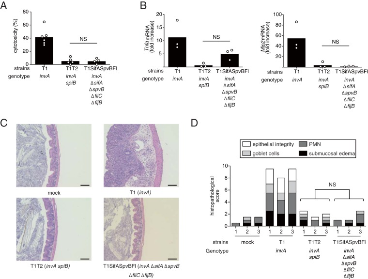 FIG 3