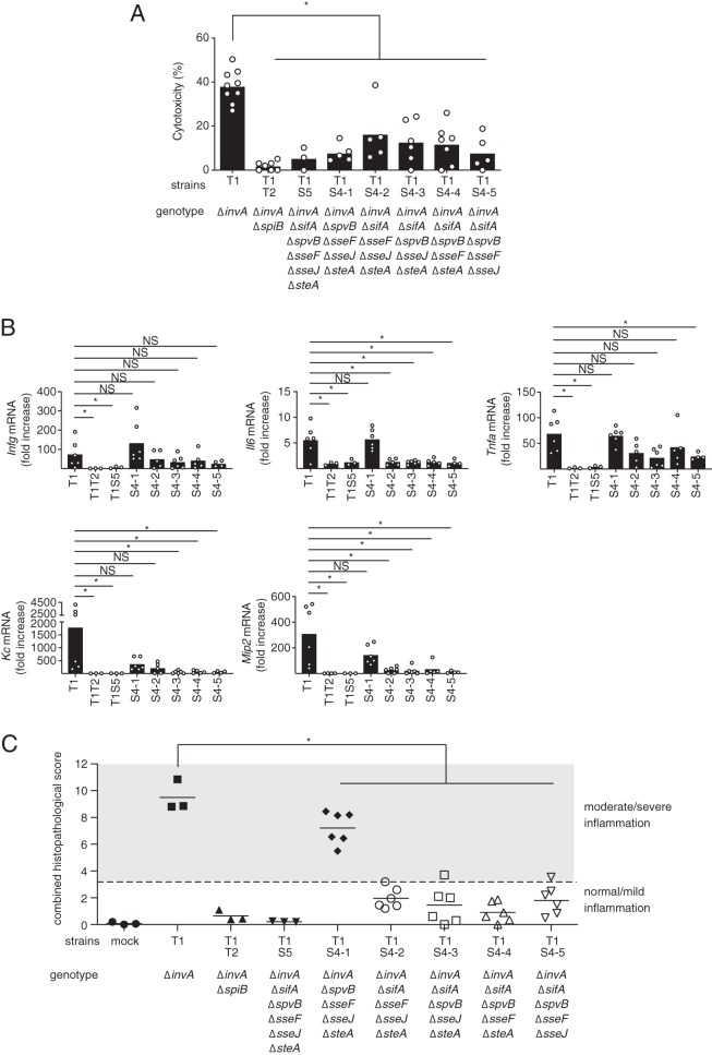 FIG 6