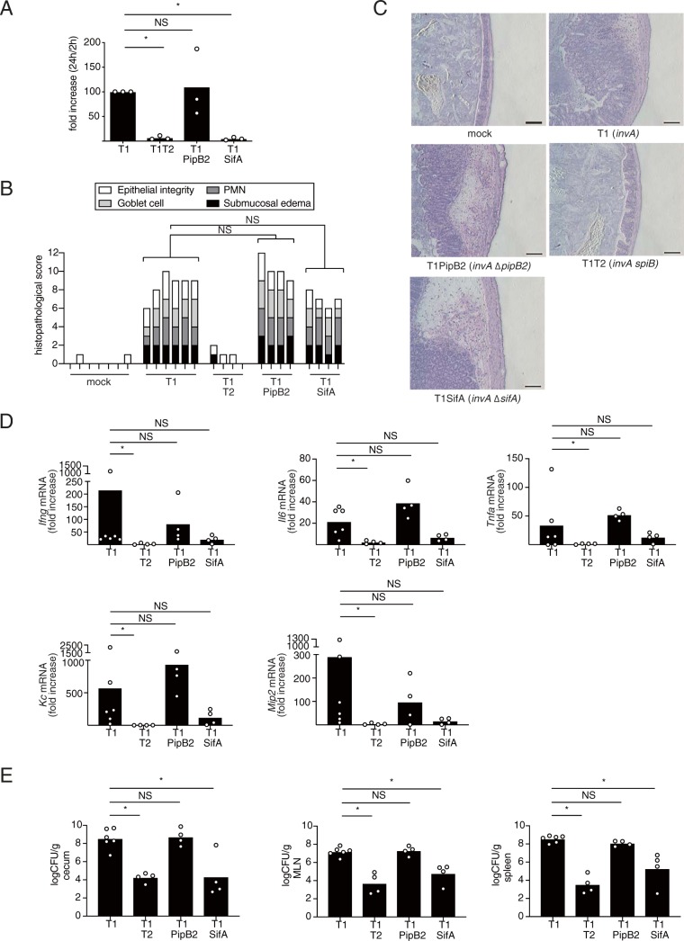 FIG 1