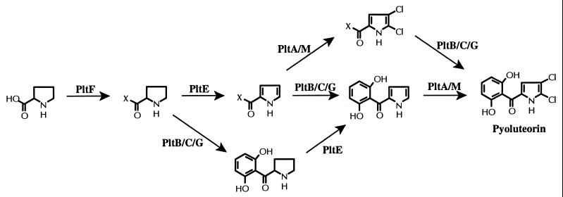 FIG. 5