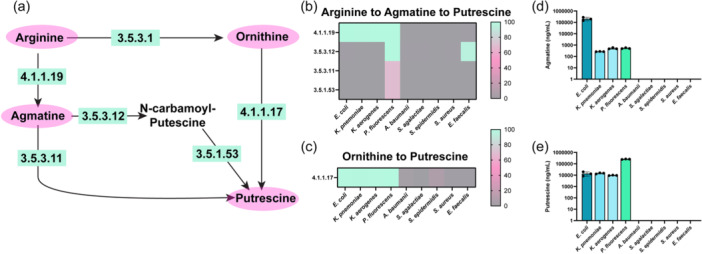 Figure 4 (a)