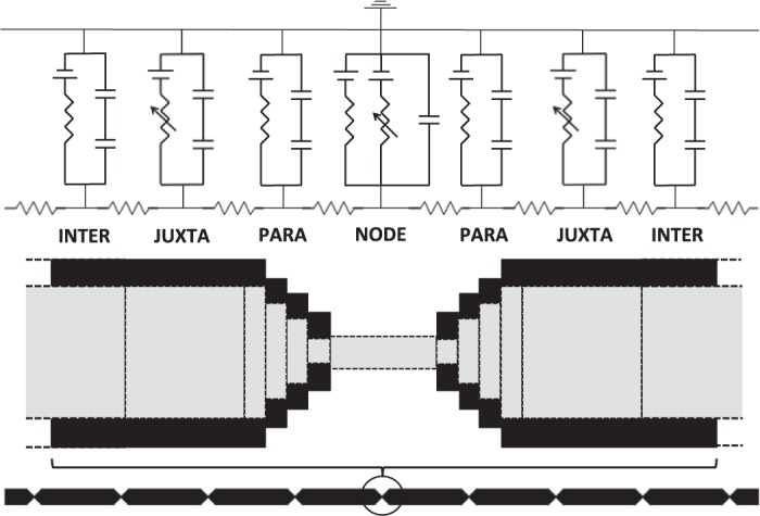 Fig. 1.