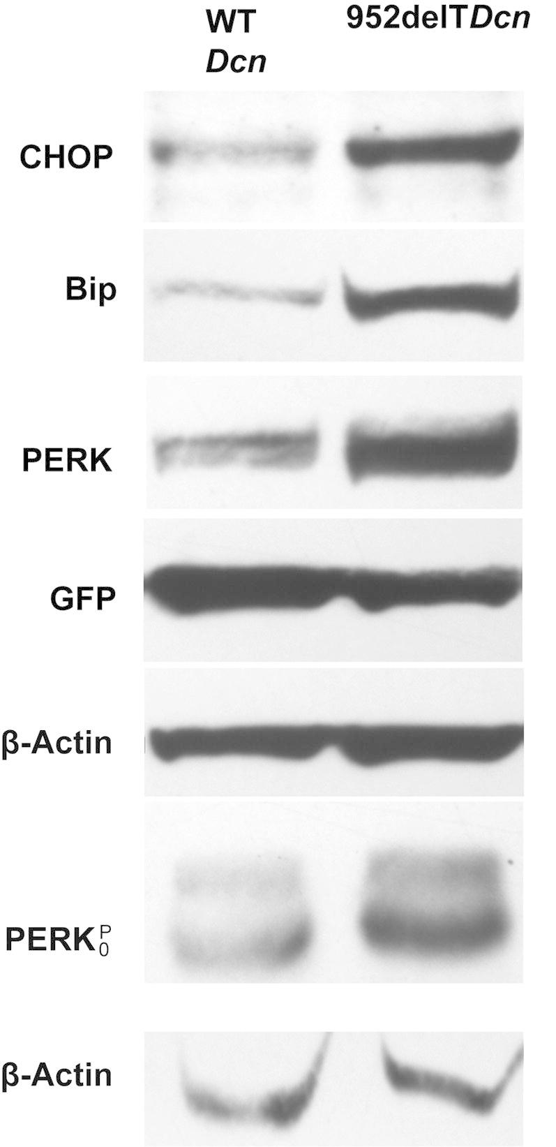 Figure 7