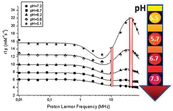 Fig. 10