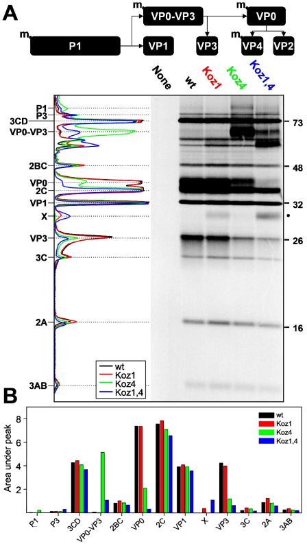 FIG. 5.