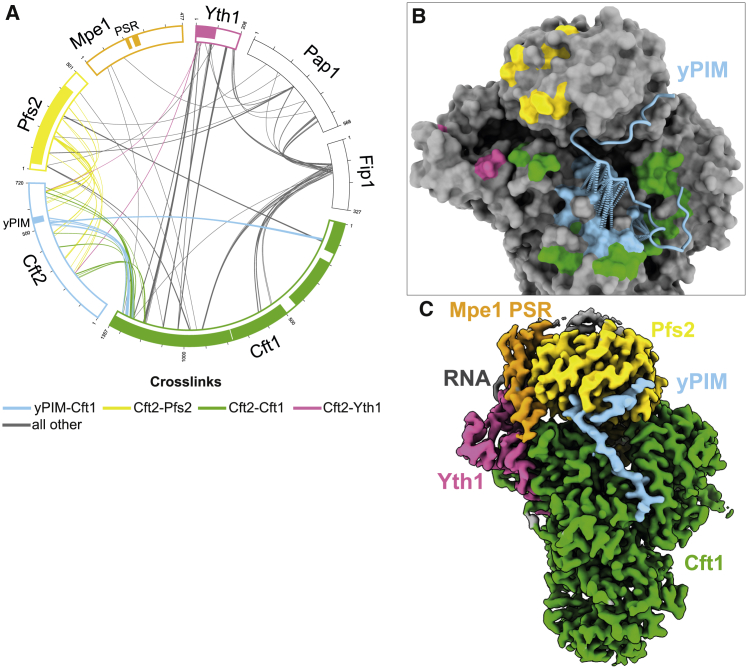 Figure 4