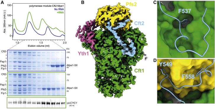 Figure 3