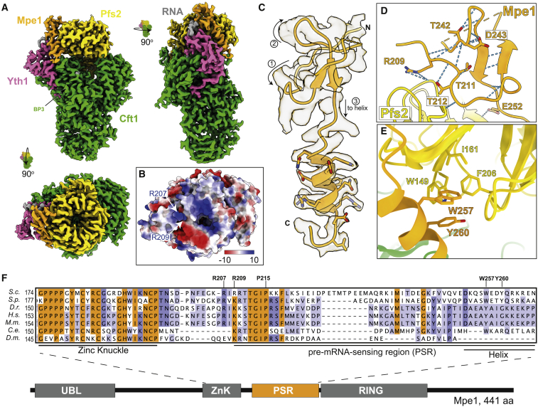 Figure 1