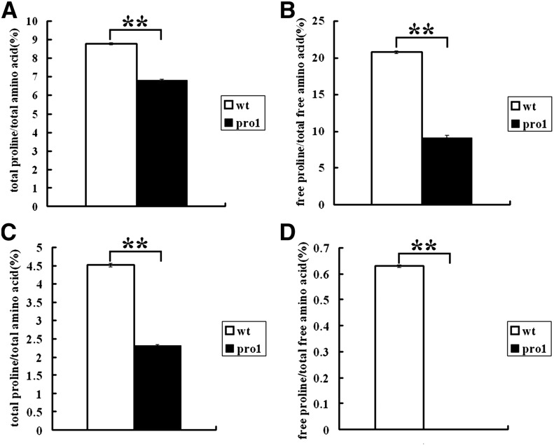 Proline Responding1 Plays A Critical Role In Regulating General Protein 