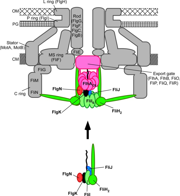 Figure 7