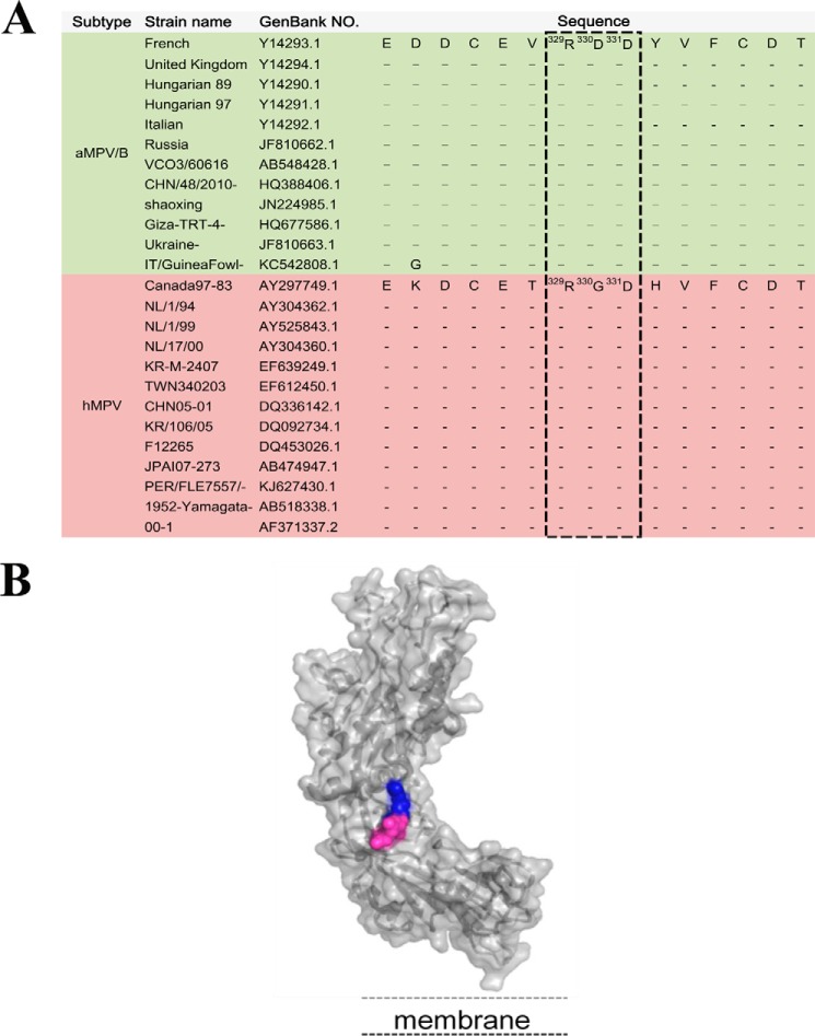 FIGURE 1.