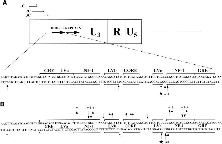 FIG. 8