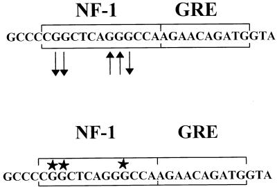 FIG. 7