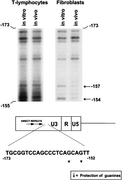 FIG. 5