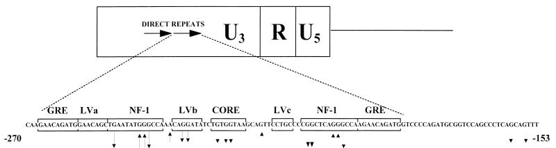 FIG. 6