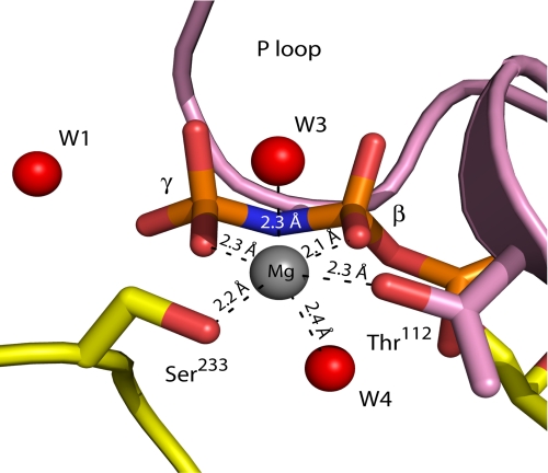 FIGURE 4.