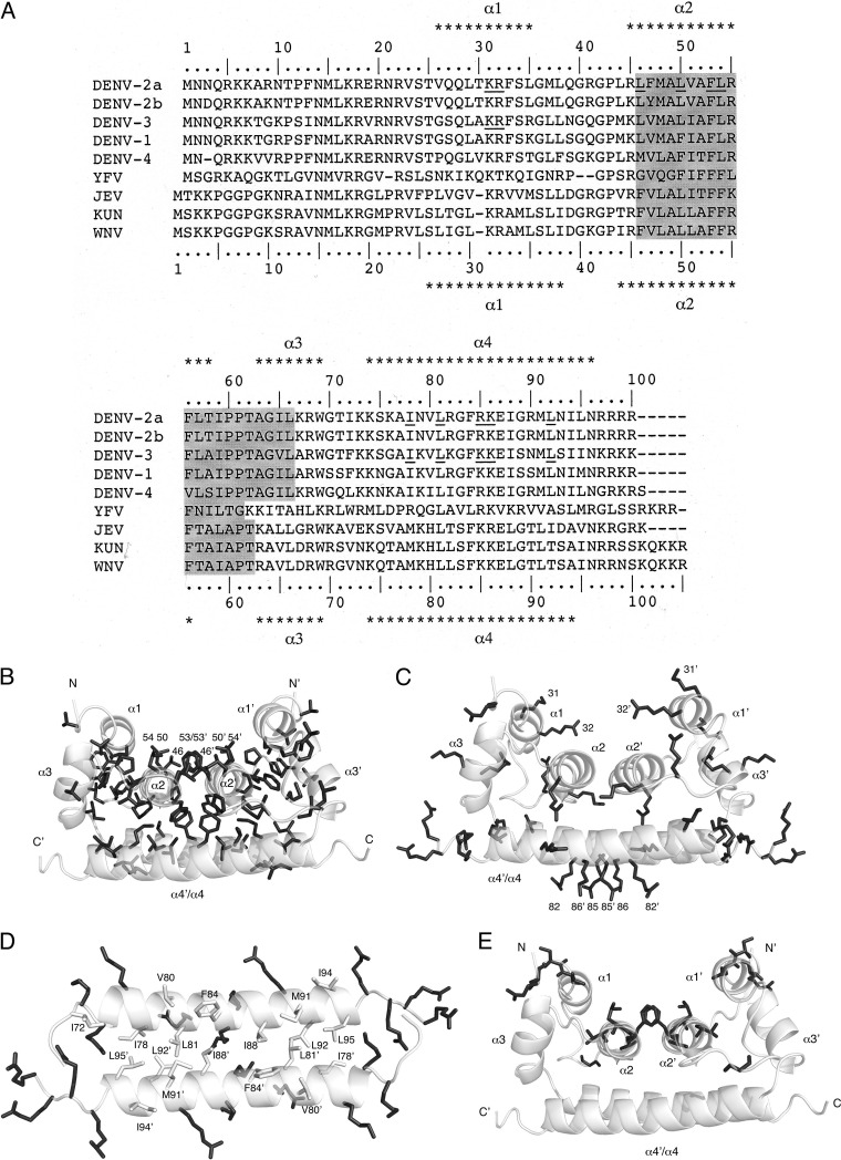 FIG 1