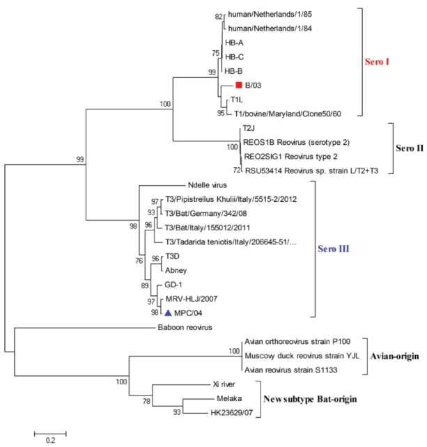 FIGURE 1